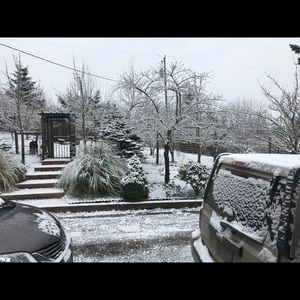 Meet your Posher, Sofie